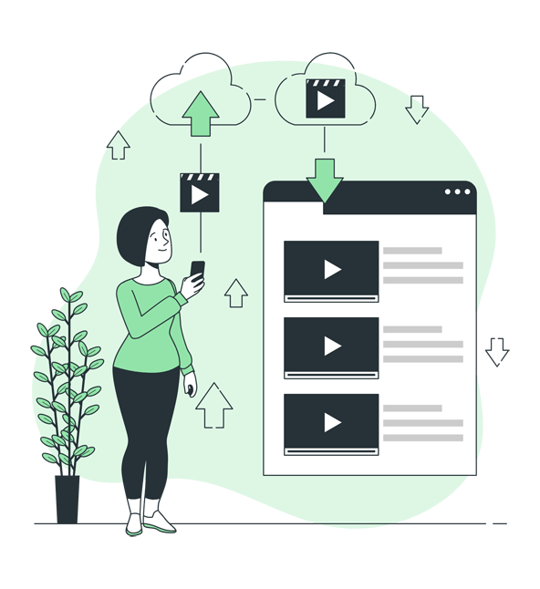 Video Documentation